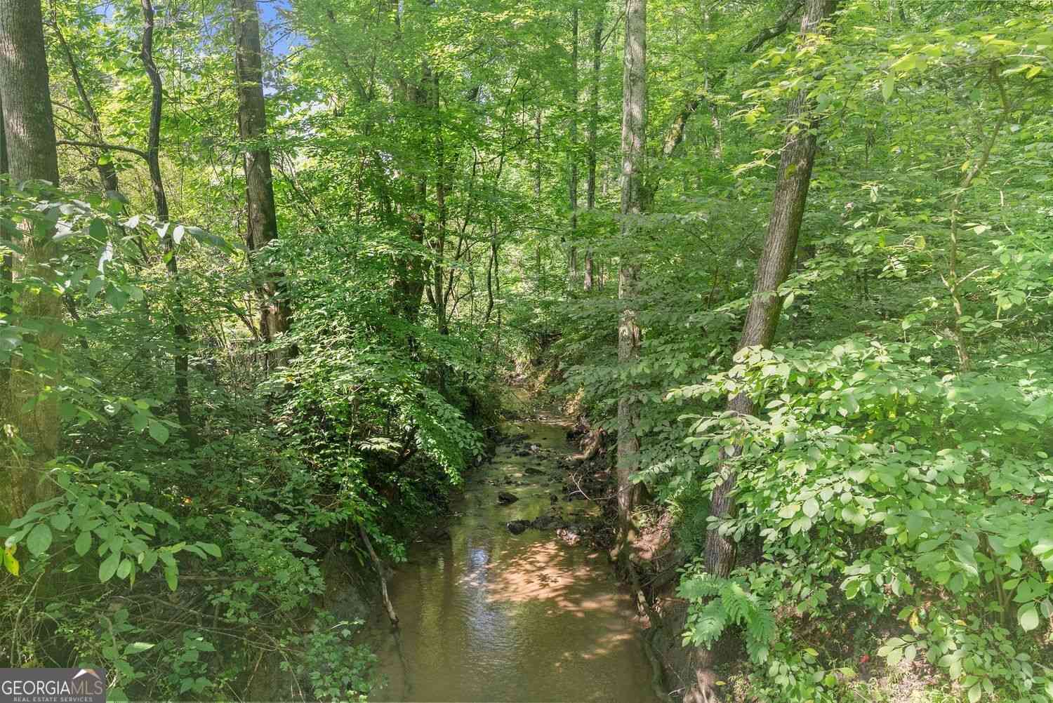 Vacant Land For Sale - Long Branch Road<br/> Dahlonega, GA 30533