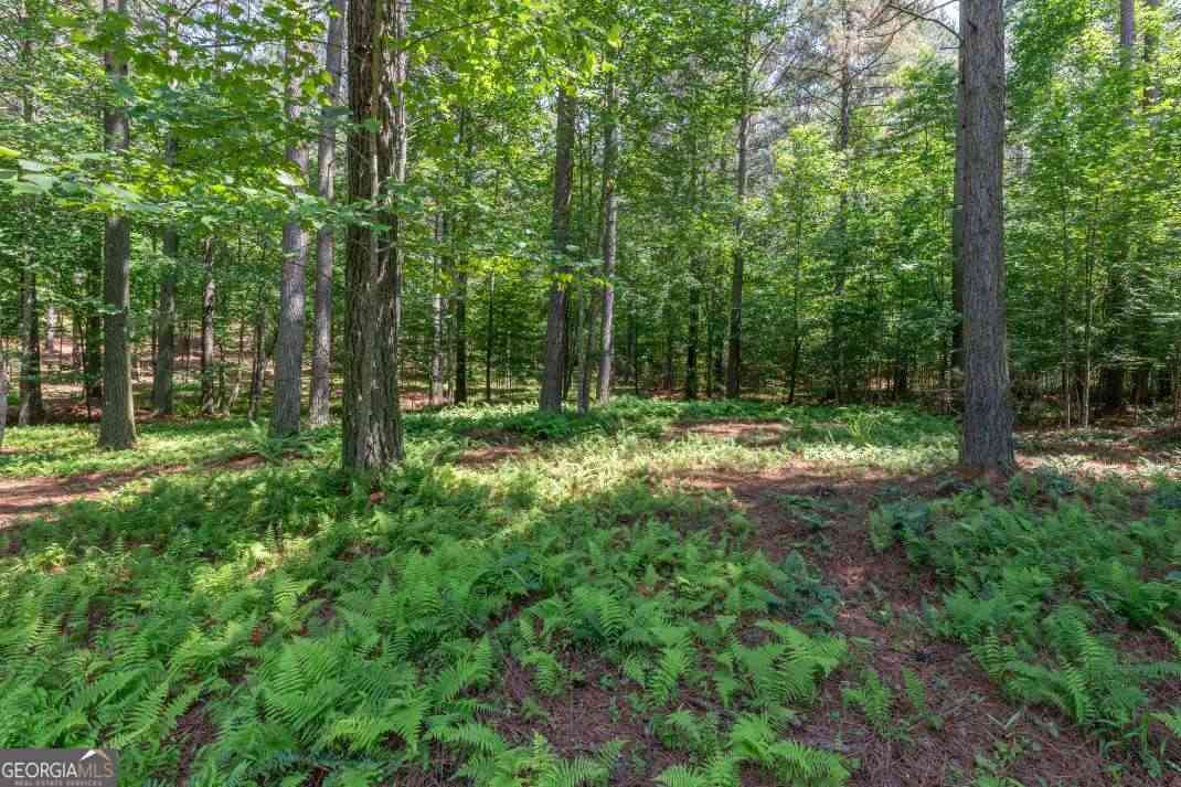 Vacant Land For Sale - LOT 48 Thirteen Hundred<br/> Blairsville, GA 30512