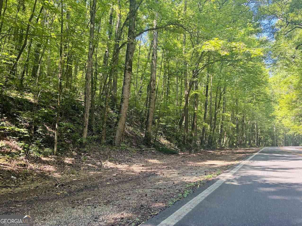 Vacant Land For Sale - Forest Glen Road #UNIT A<br/> Sylacauga, AL 35151