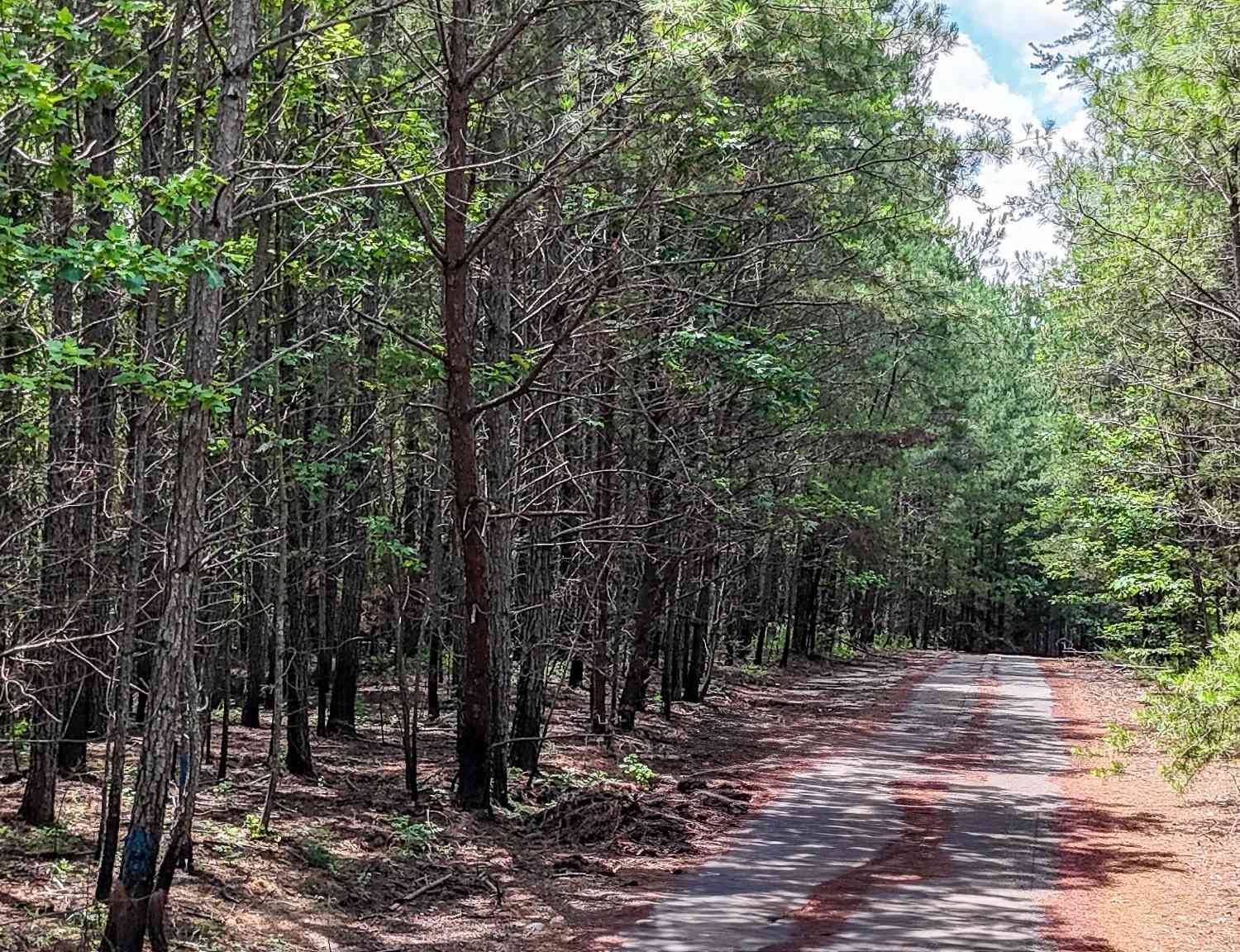 Vacant Land For Sale - 47 Lot #LOT 47<br/> Rockmart, GA 30153
