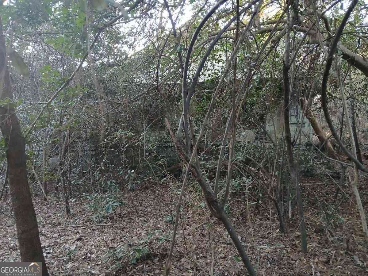 Vacant Land For Sale - 742 Campbell Road<br/> Covington, GA 30014