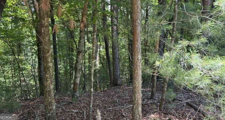 Vacant Land For Sale - LOT 1178 Optic Court<br/> Ellijay, GA 30540