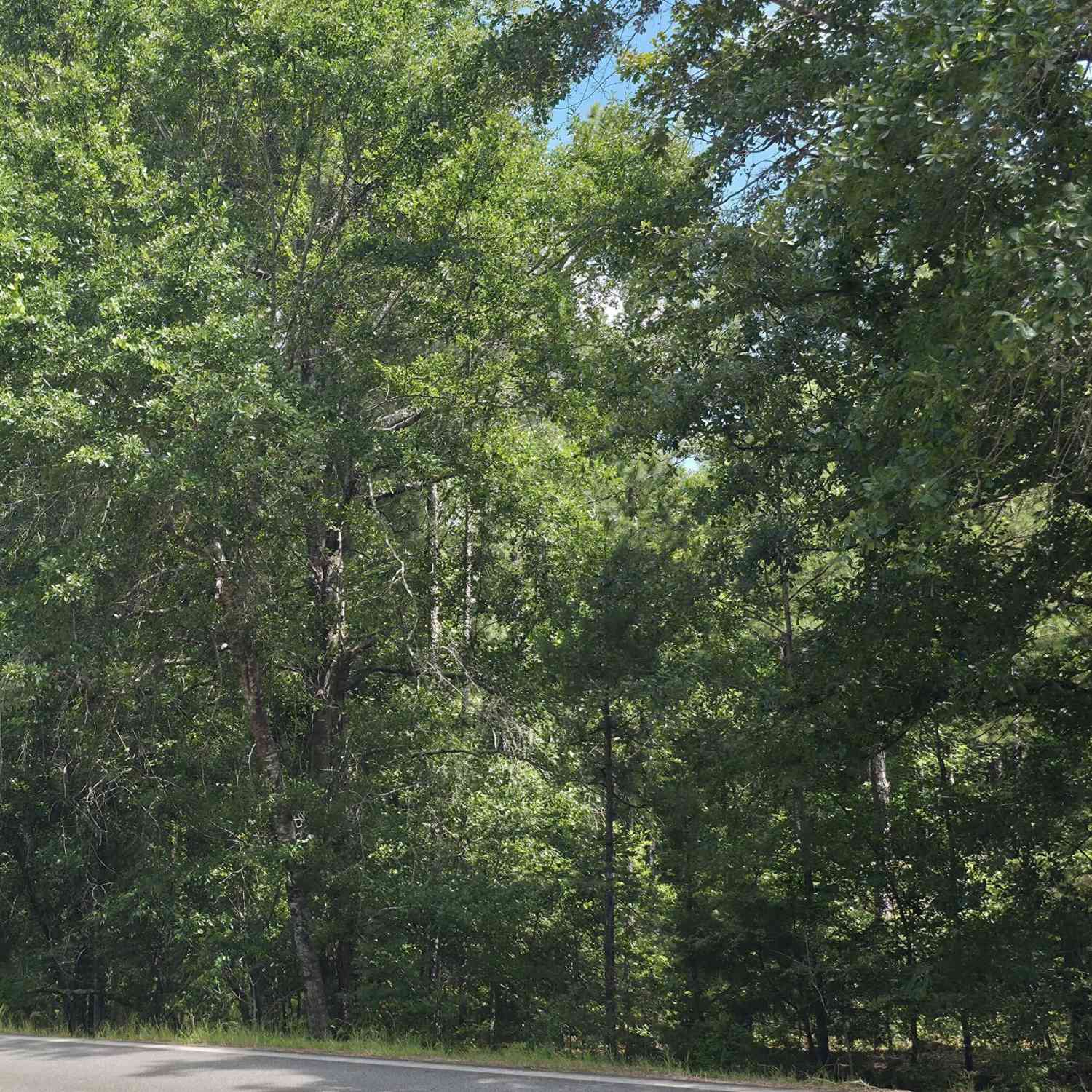 Vacant Land For Sale - Bowen Hill Road<br/> Haddock, GA 31033