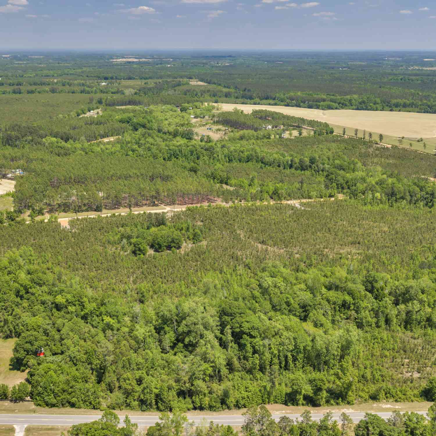 Vacant Land For Sale - 19 Hwy 126<br/> Cadwell, GA 31009