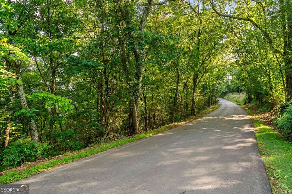 Vacant Land For Sale - Mount Alto Road SW<br/> Rome, GA 30165