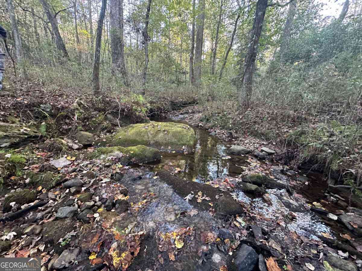 Vacant Land For Sale - Lee Mashburn Road<br/> Lumpkin County, Dahlonega, GA 30533
