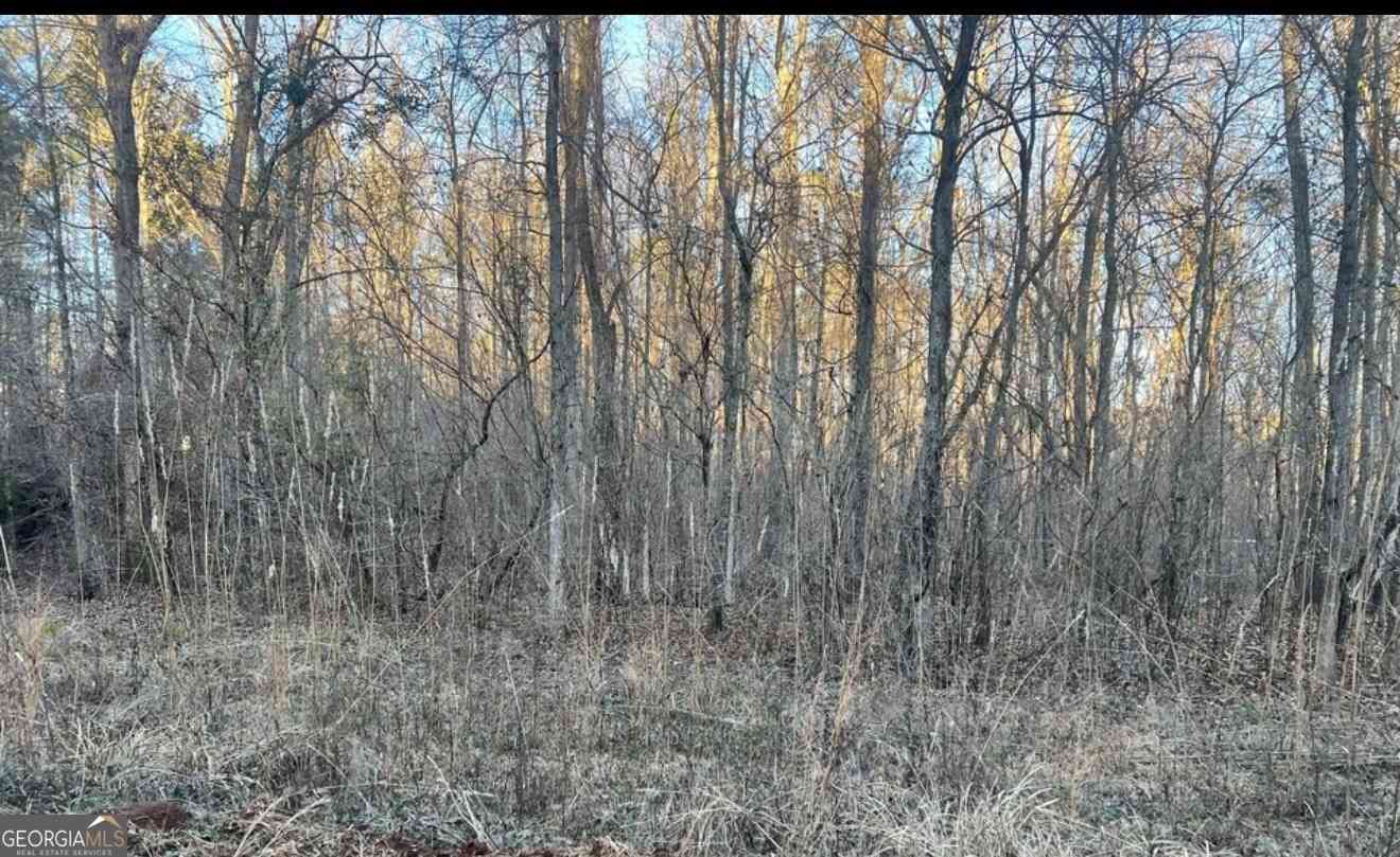 Vacant Land For Sale - Heron Court<br/> Jasper, GA 31064