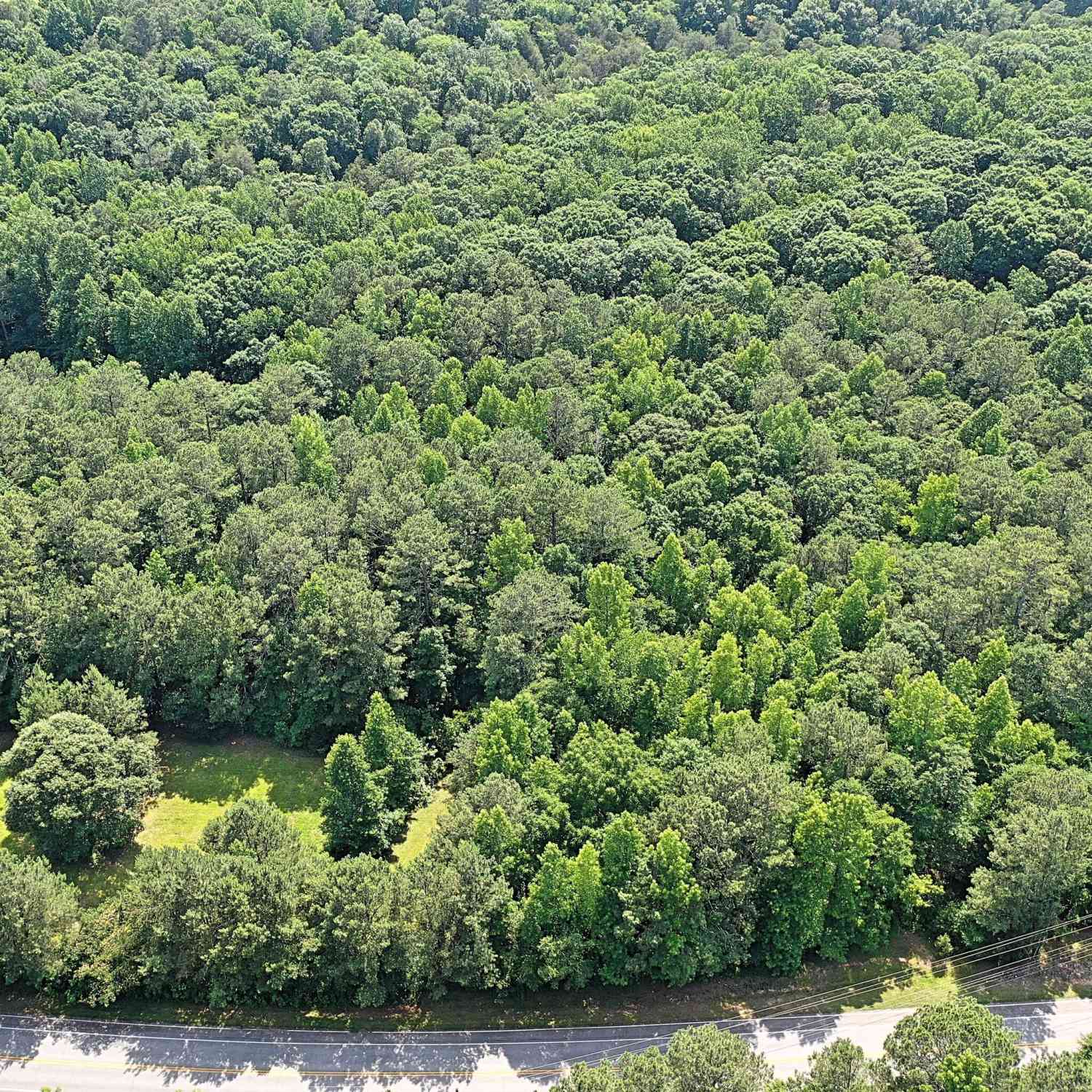 Vacant Land For Sale - 2569 Callie Still Road<br/> Gwinnett County, Lawrenceville, GA 30045