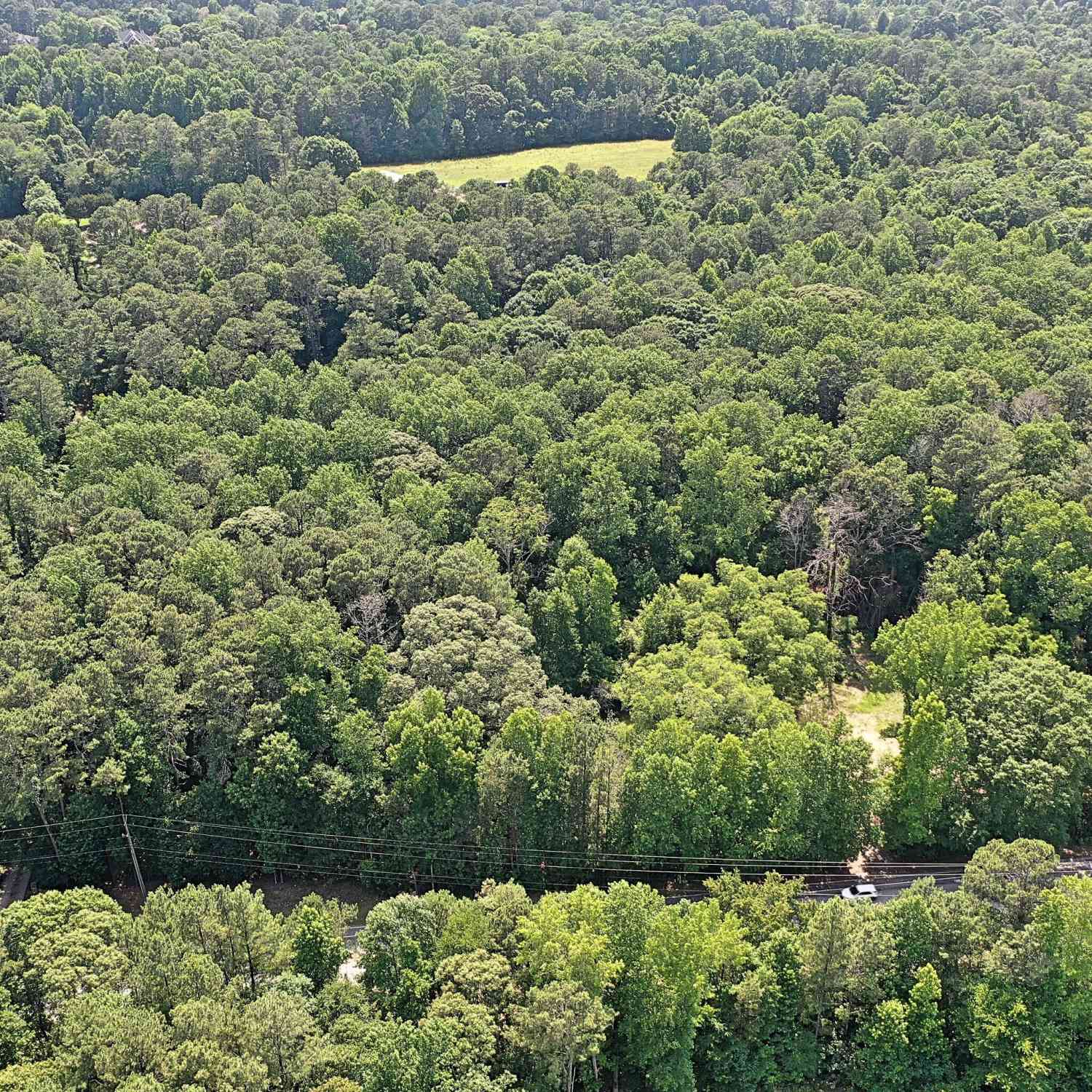 Vacant Land For Sale - 2579 Callie Still Road<br/> Gwinnett County, Lawrenceville, GA 30045