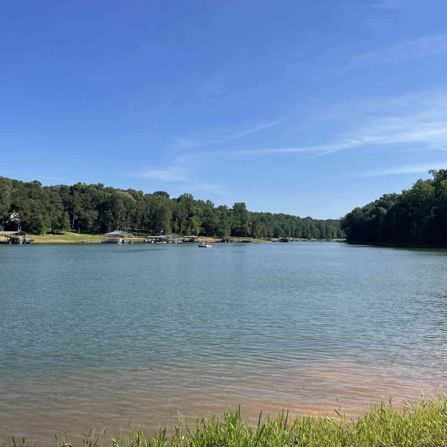 Vacant Land For Sale - 206 Park Road<br/> Townville, SC 29689