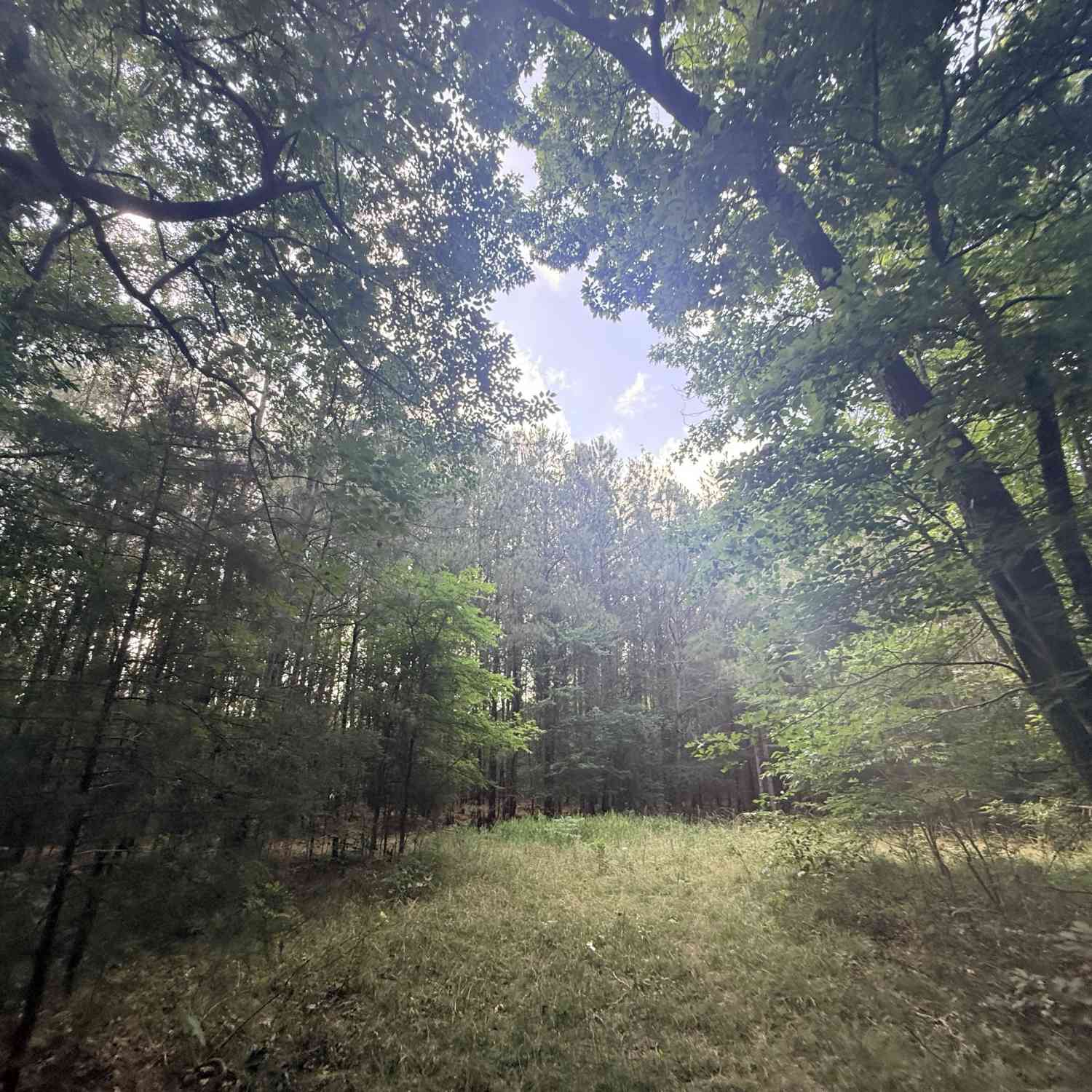 Vacant Land For Sale - 2 Bethesda Church Road<br/> Lexington, GA 30648