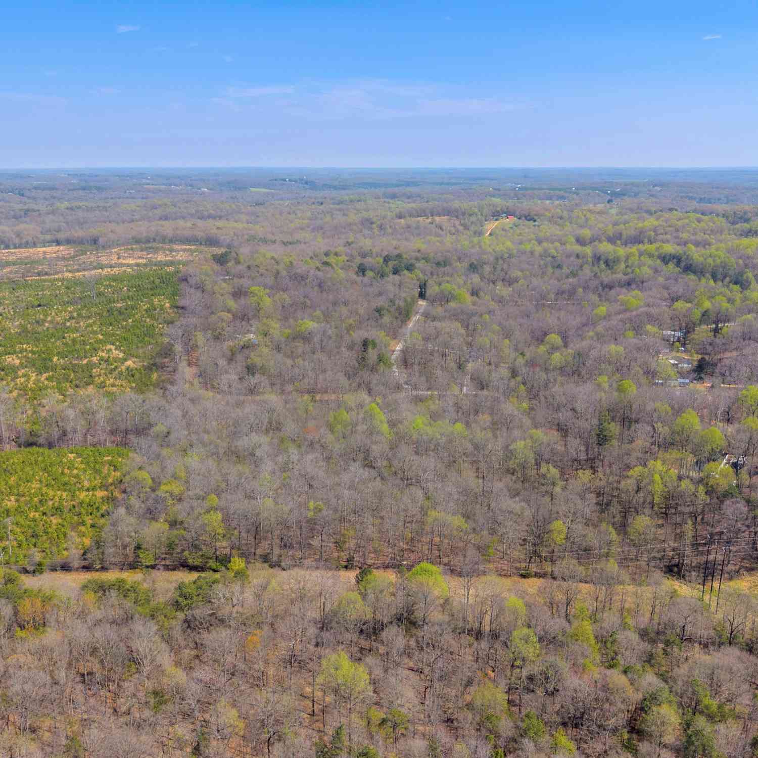 Vacant Land For Sale - Rolling Rock Road<br/> Carnesville, GA 30521