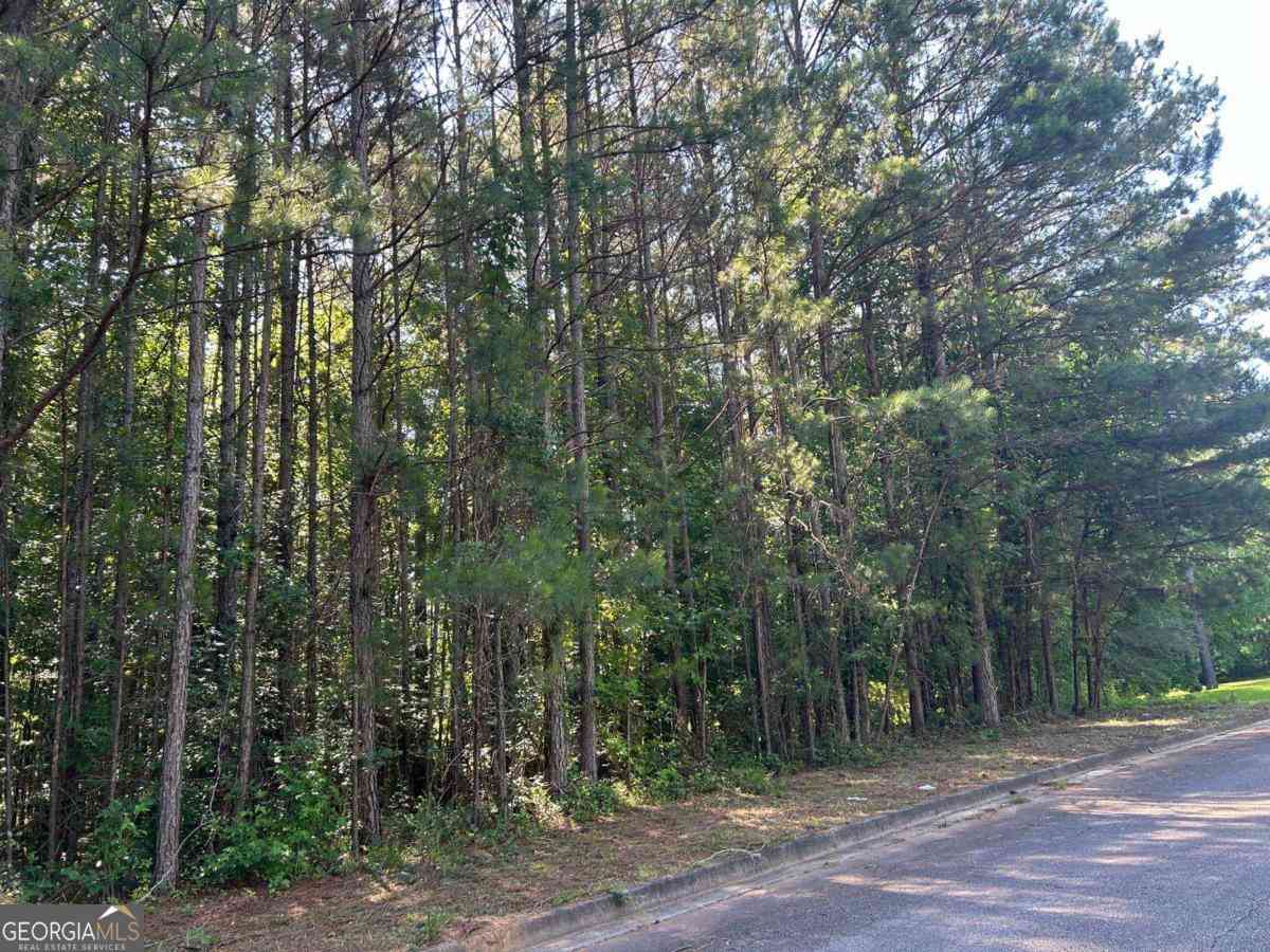 Vacant Land For Sale - 136 Harrison Place<br/> Hampton, GA 30228