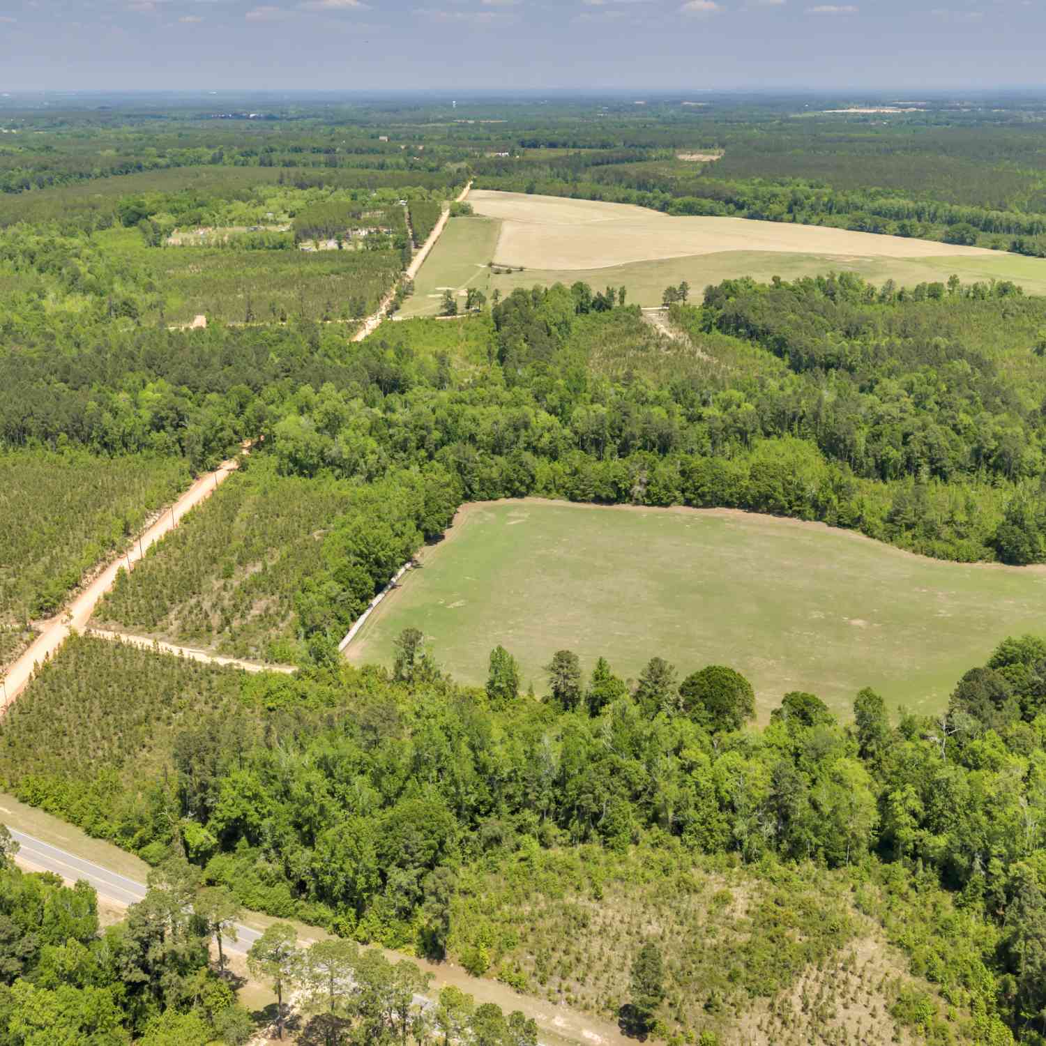 Vacant Land For Sale - 32 Hwy 126<br/> Cadwell, GA 31009
