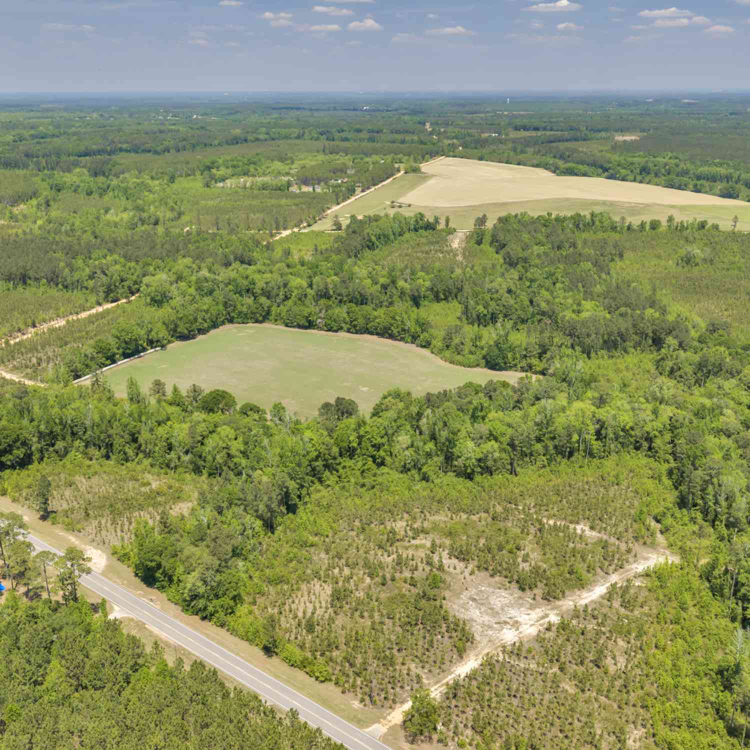 Vacant Land For Sale - 33 Hwy 126<br/> Cadwell, GA 31009