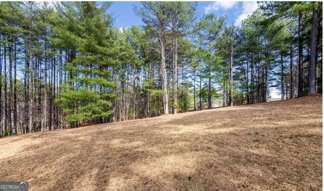 Vacant Land For Sale - LOT 87 Creek Hollow Lane<br/> BLAIRSVILLE, GA 30512