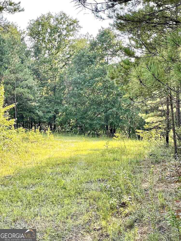 Vacant Land For Sale - 4476 Fulton Mill Road<br/> Macon, GA 31216