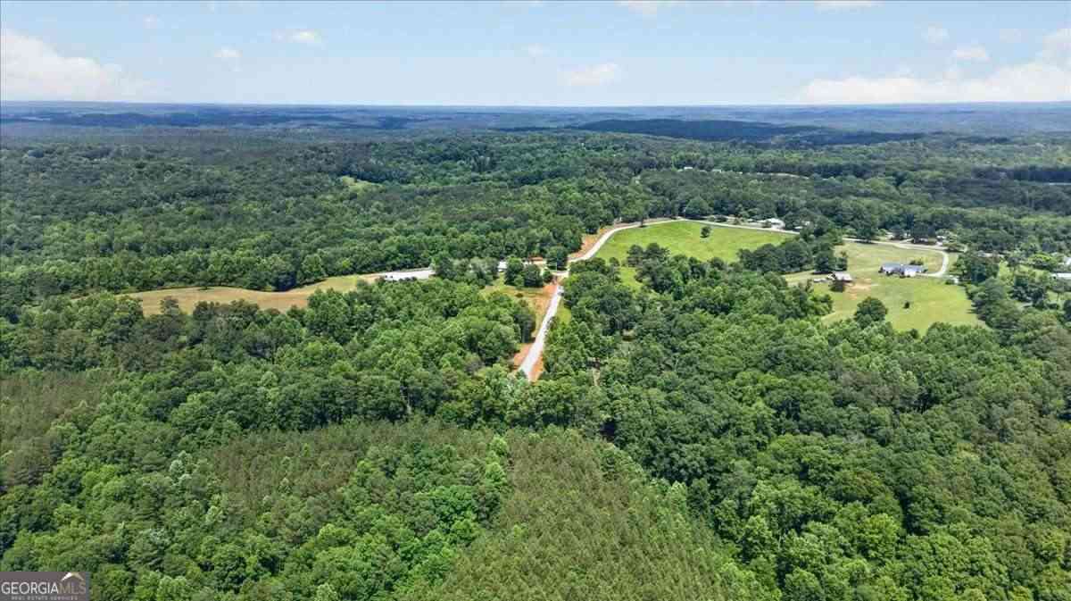 Vacant Land For Sale - Conns Creek Road #4<br/> Ball Ground, GA 30107