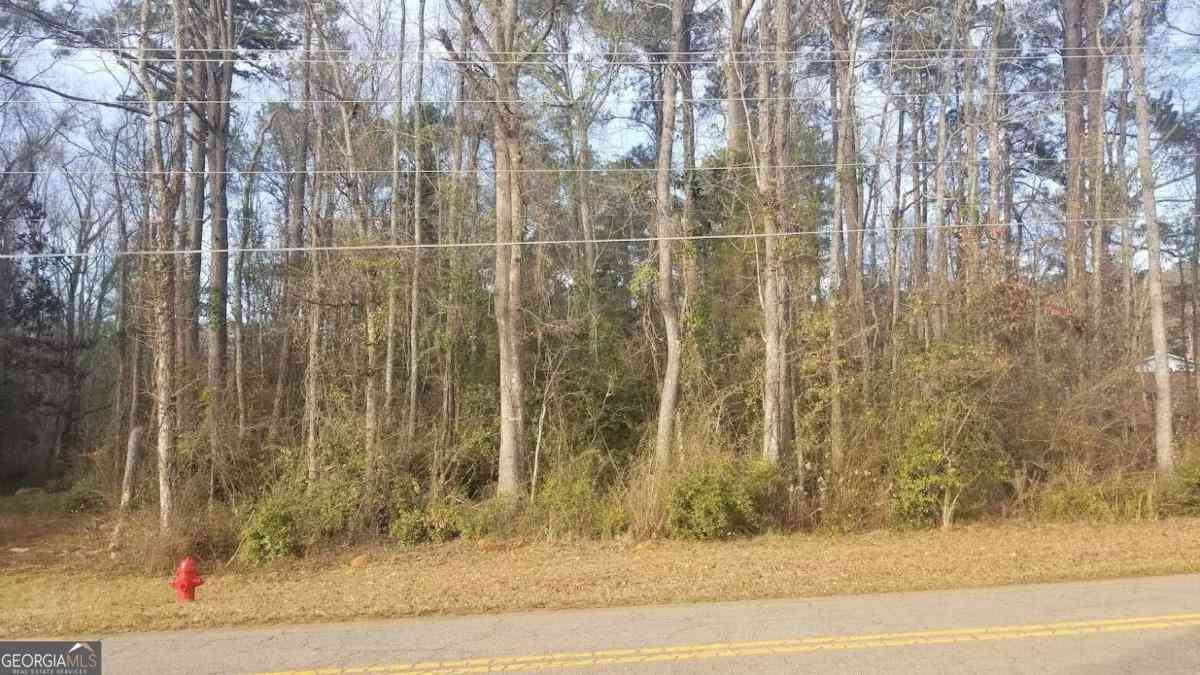 Vacant Land For Sale - Veterans Drive<br/> Thomaston, GA 30286