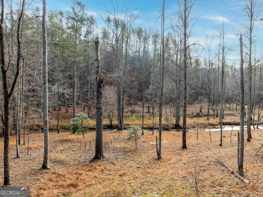 Vacant Land For Sale - 780 Banks Road<br/> Ellijay, GA 30540