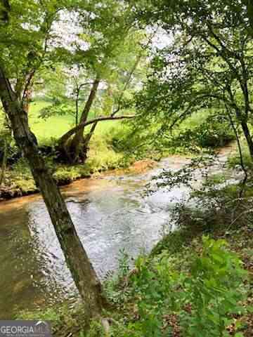 Vacant Land For Sale - TR 2 & 3 Settlement Road<br/> Young Harris, GA 30582