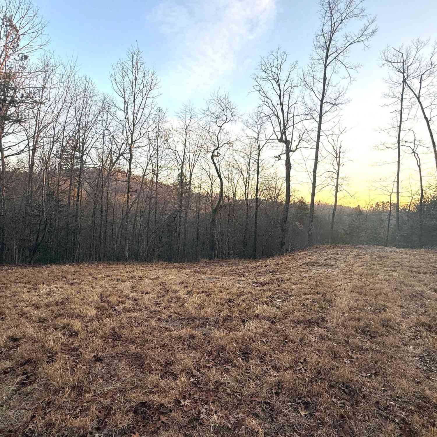 Vacant Land For Sale - 426 Rockhouse Crossing<br/> Demorest, GA 30535