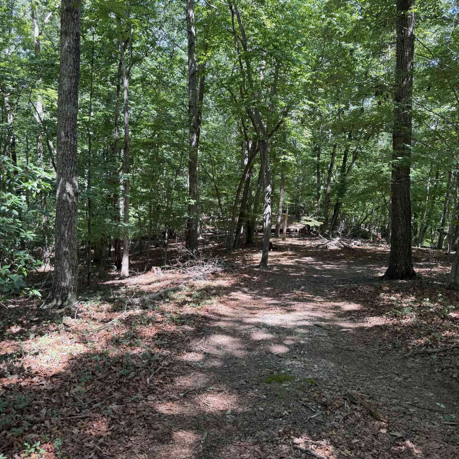 Vacant Land For Sale - 7 Ivy Hills Drive<br/> Cleveland, GA 30528