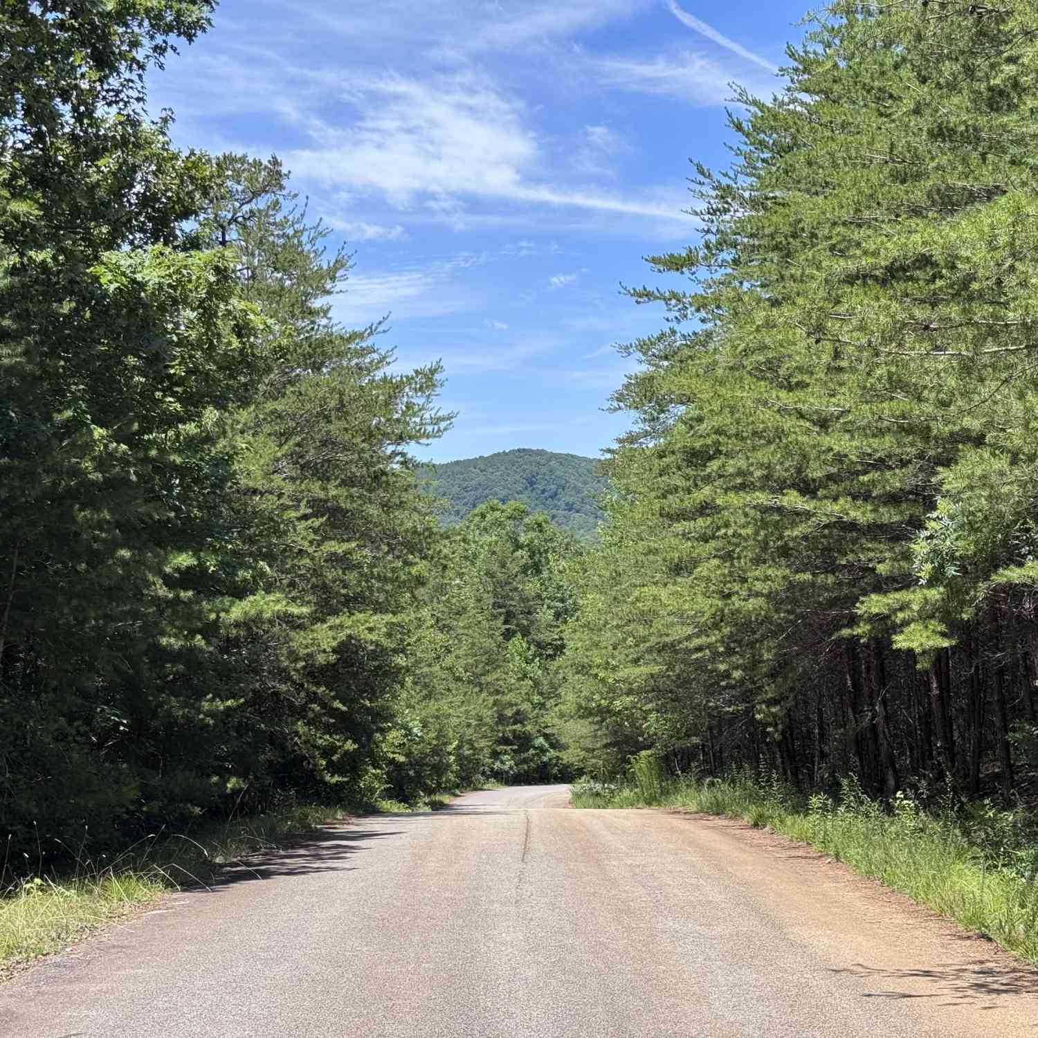 Vacant Land For Sale - Sunshine Ridge<br/> Toccoa, GA 30577