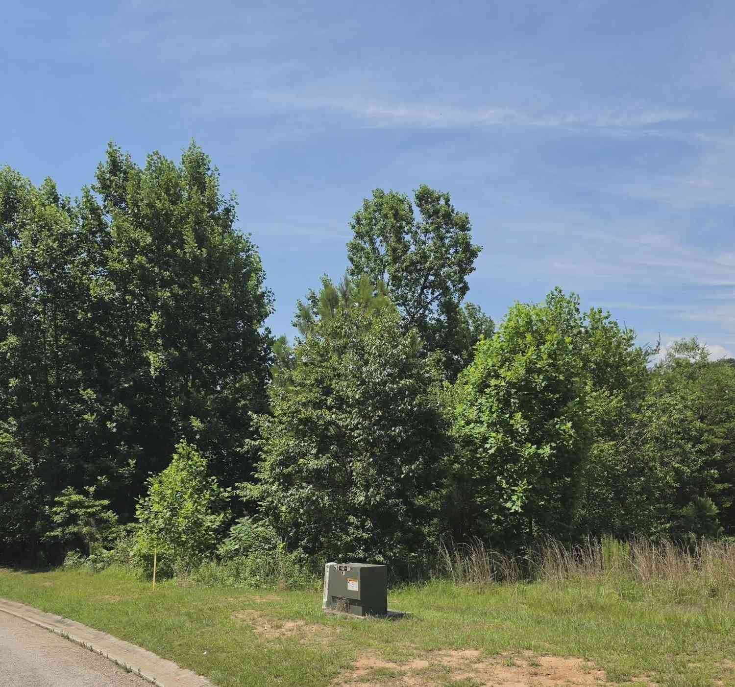Vacant Land For Sale - 155 Coneflower Lane<br/> Toccoa, GA 30577