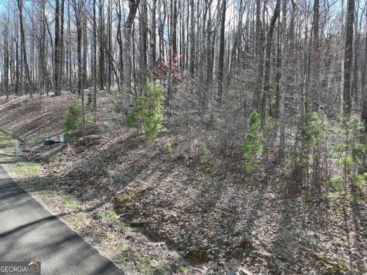 Vacant Land For Sale - 270R Stone Cliff Drive<br/> Ellijay, GA 30536
