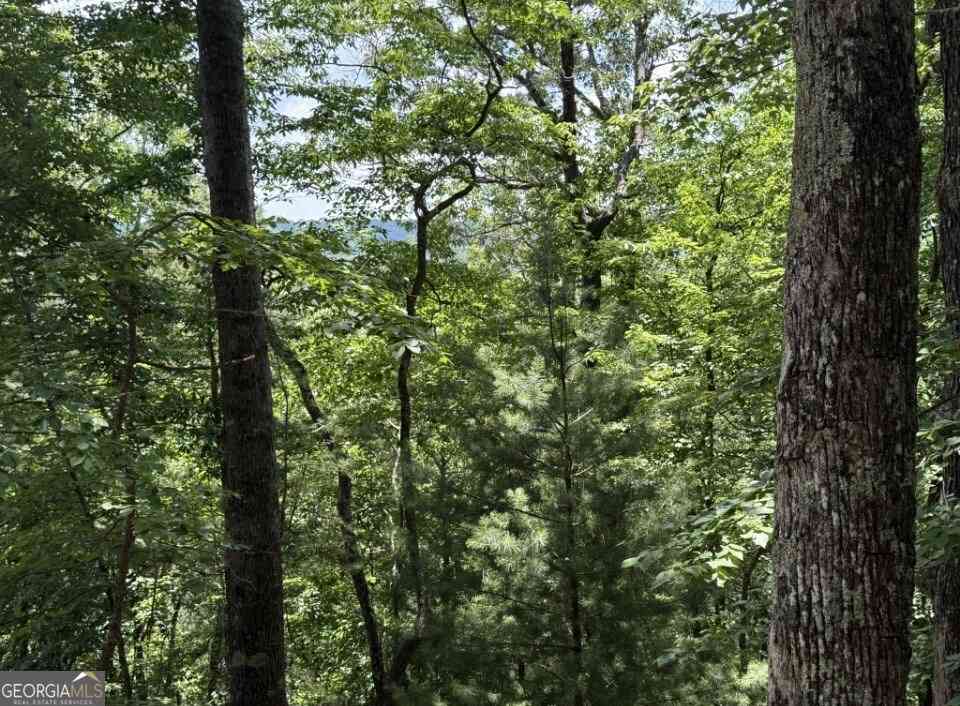 Vacant Land For Sale - LOT 2607 Magnet Court<br/> Ellijay, GA 30540