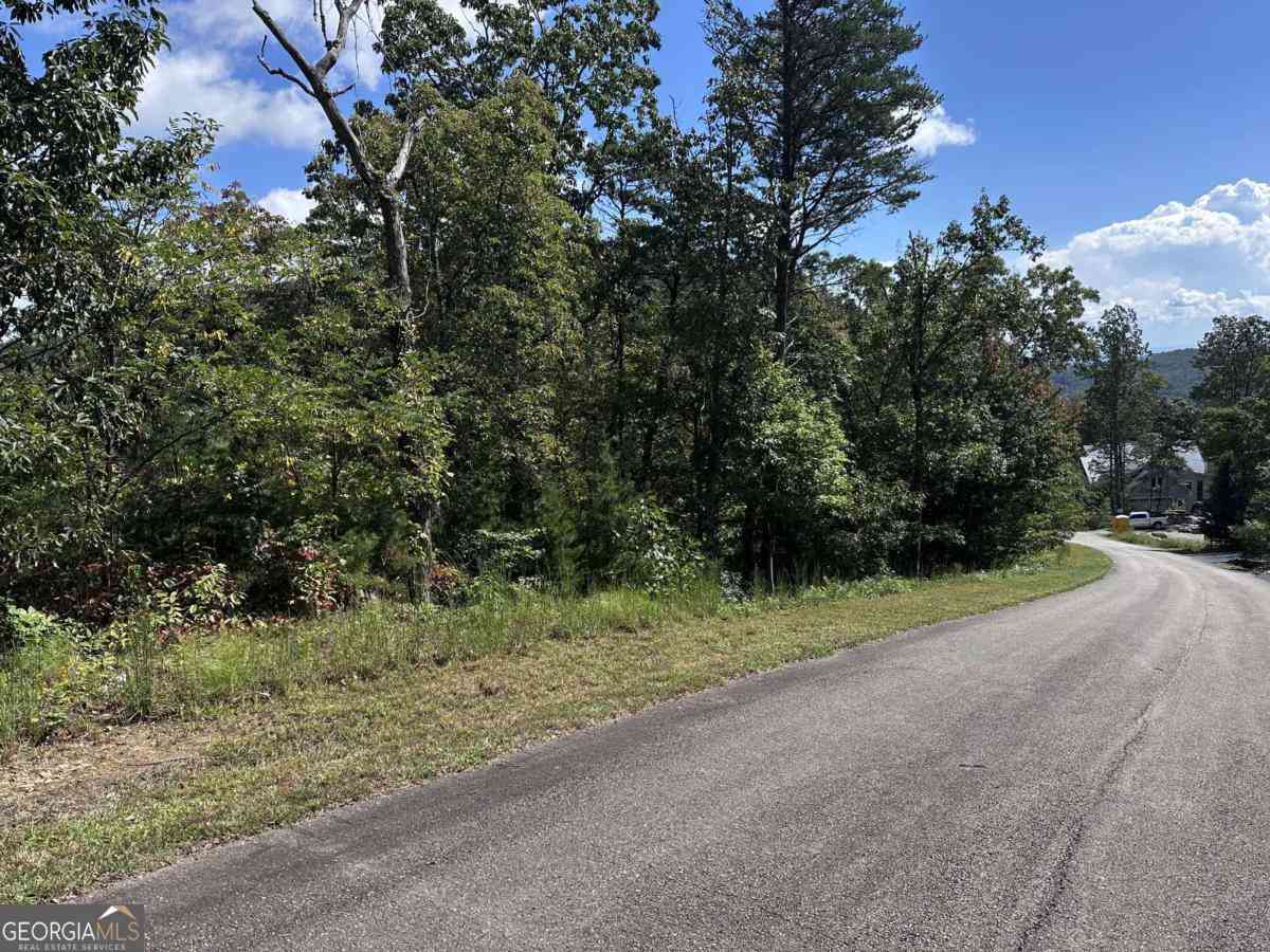 Vacant Land For Sale - 234 Stone Cliff Drive<br/> Ellijay, GA 30536
