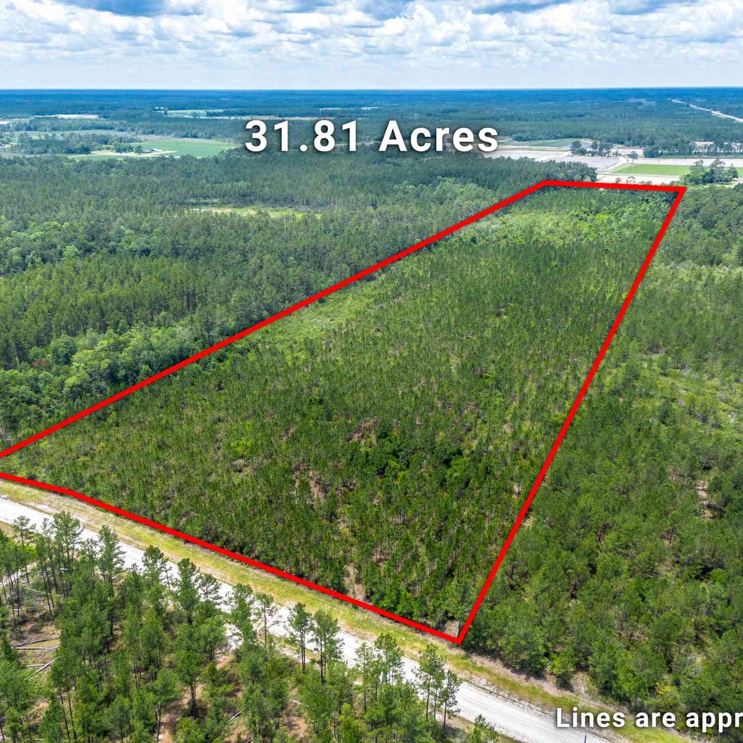 Vacant Land For Sale - LOT 120 S Farms Edge Road<br/> Ware County, Manor, GA 31550