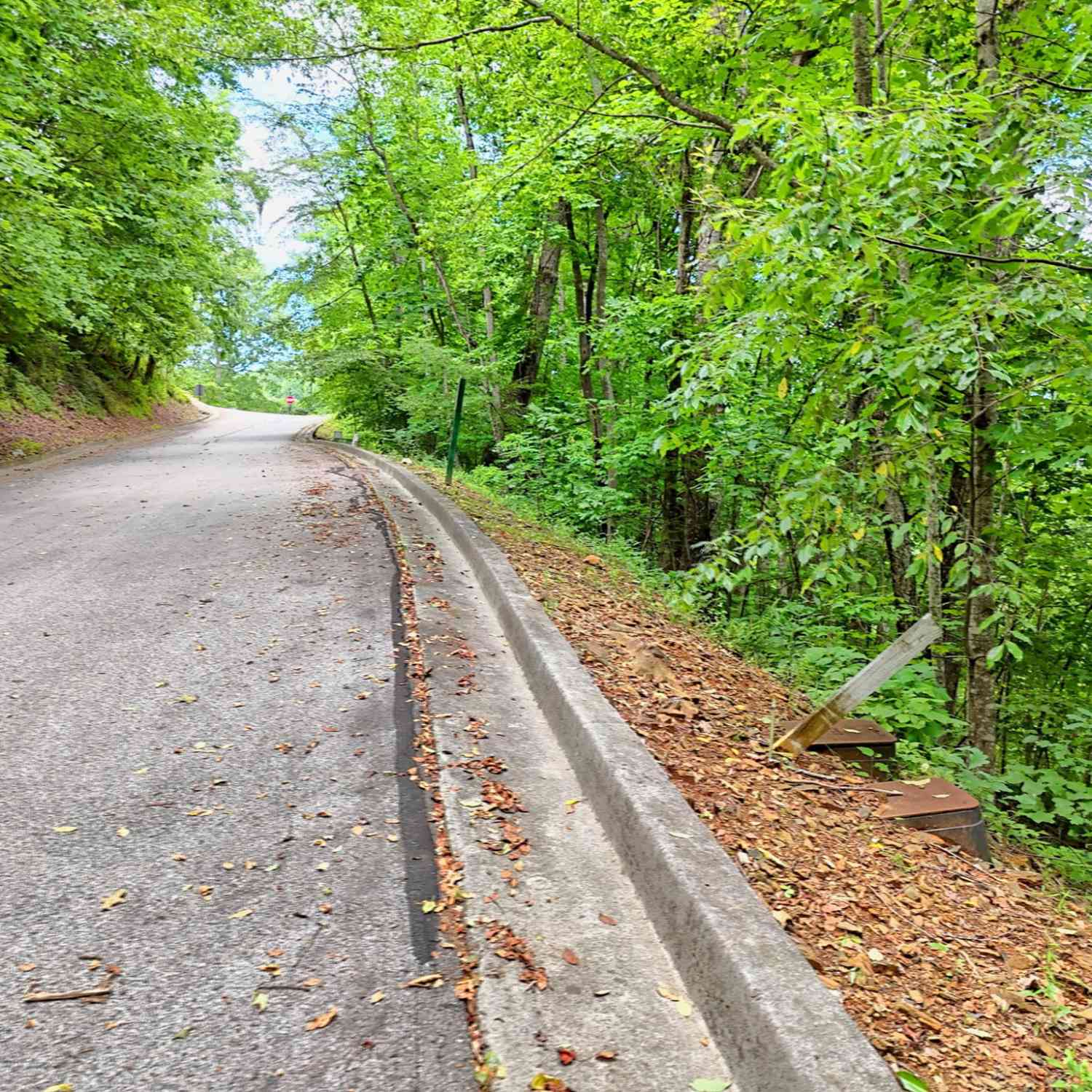 Vacant Land For Sale - High Pointe Drive<br/> Clayton, GA 30525