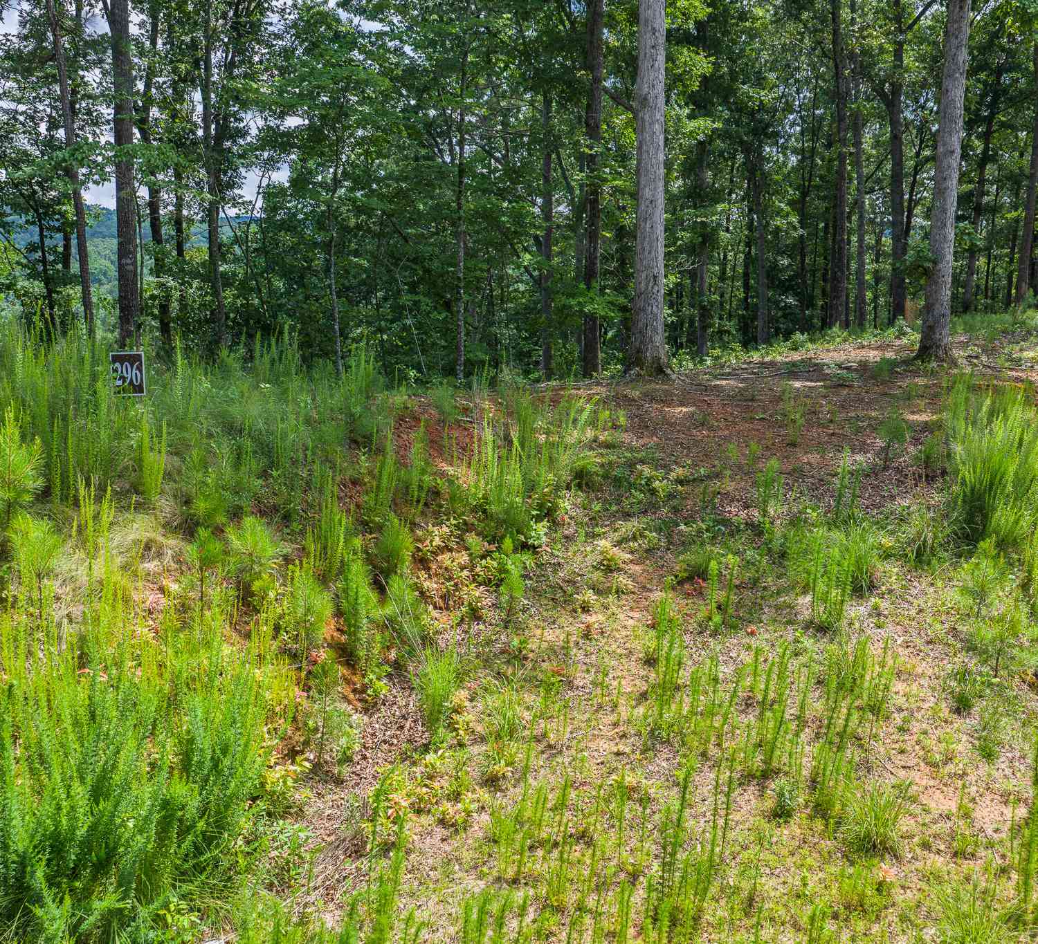 Vacant Land For Sale - LOT 296 Pebble Trace<br/> Talking Rock, GA 30175