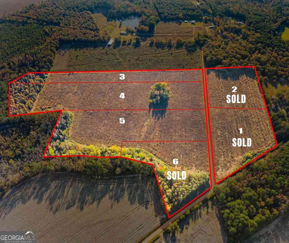 Vacant Land For Sale - Waters Lane #LOT 5<br/> Claxton, GA 30417