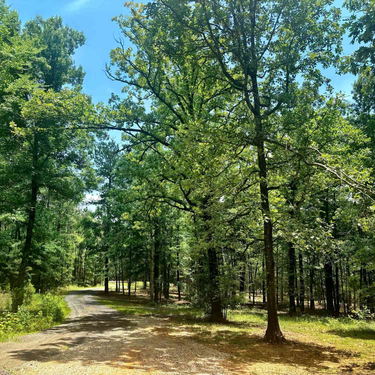 Vacant Land For Sale - 1301 Johnson Road<br/> Macon, GA 31220