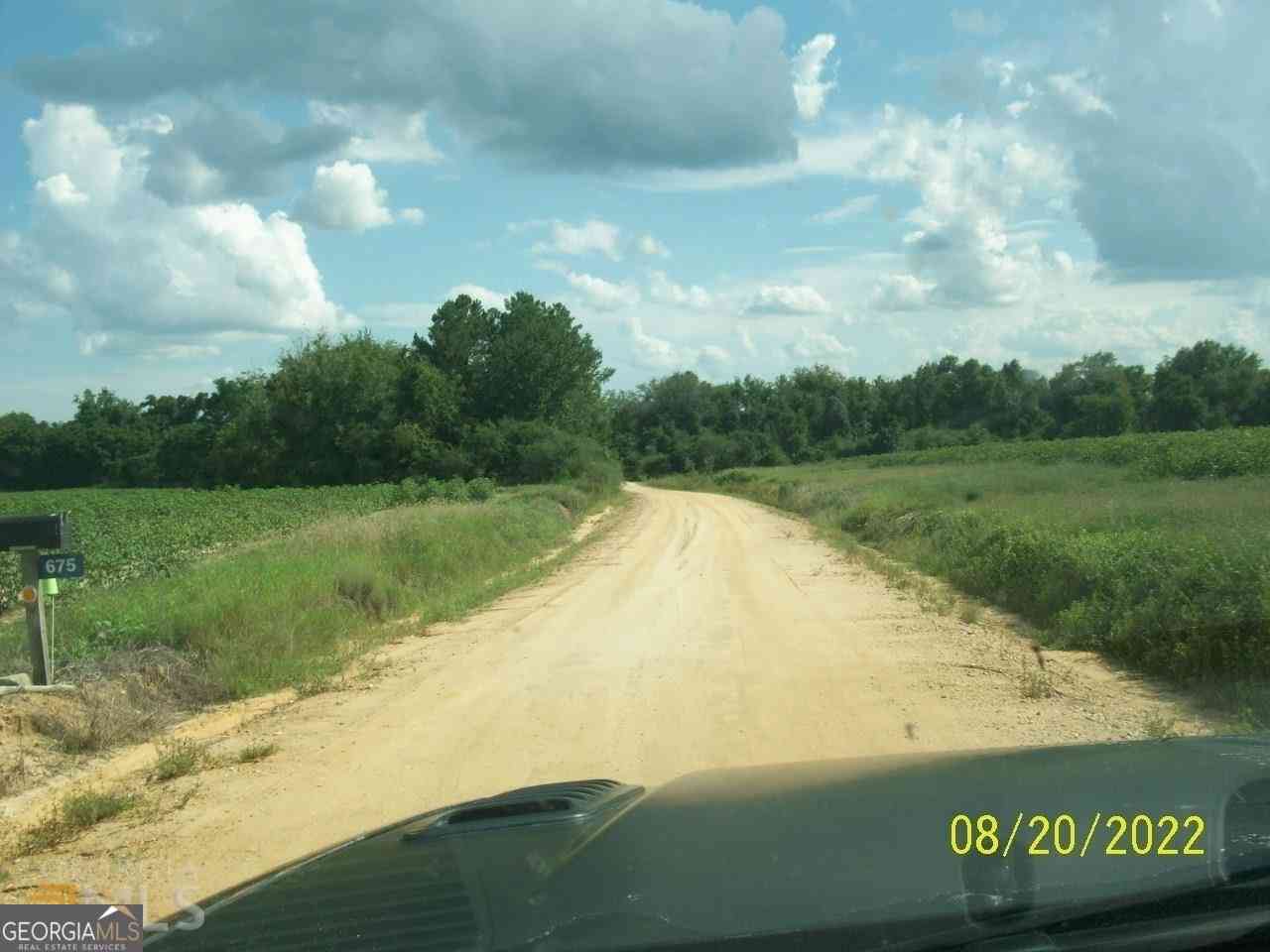 Vacant Land For Sale - 650 Howard Farm Road<br/> Dooly County, Vienna, GA 31092
