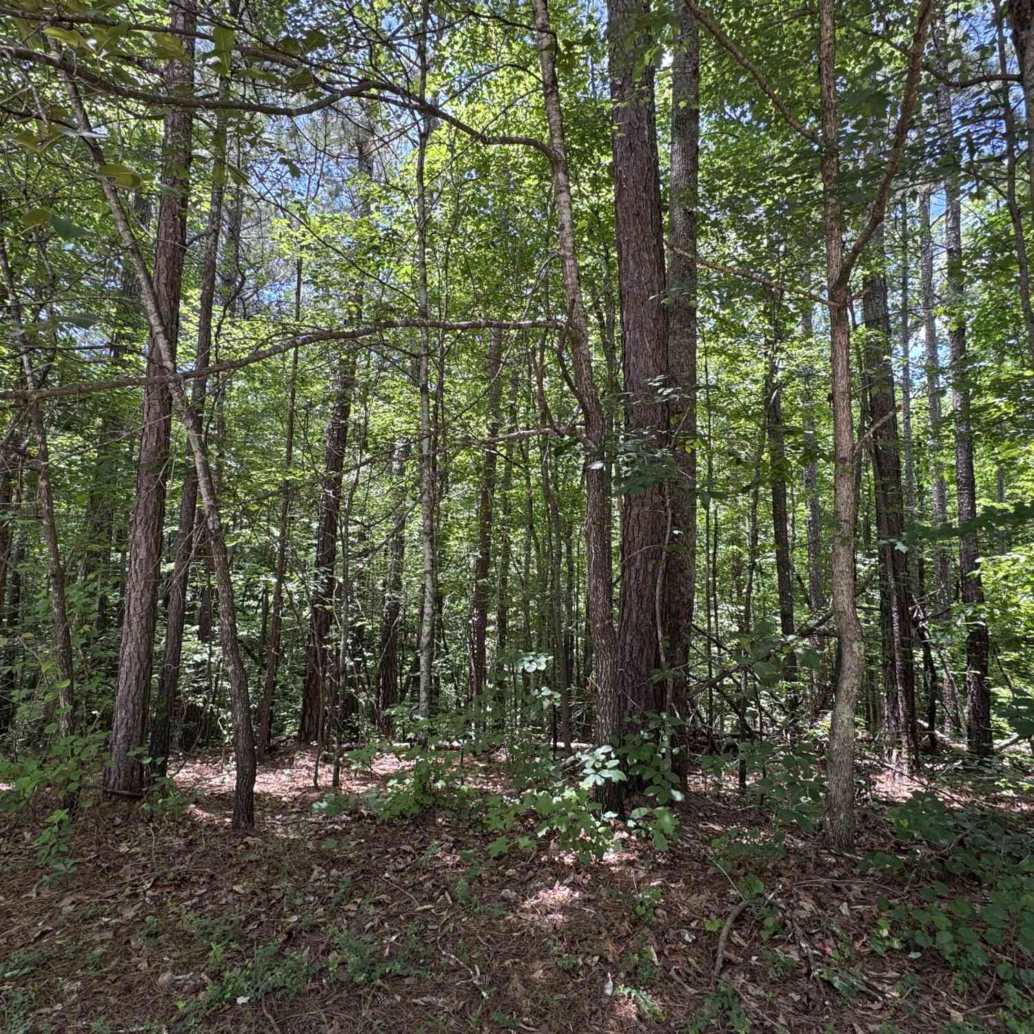 Vacant Land For Sale - 201 Stonebridge Boulevard<br/> Bremen, GA 30110