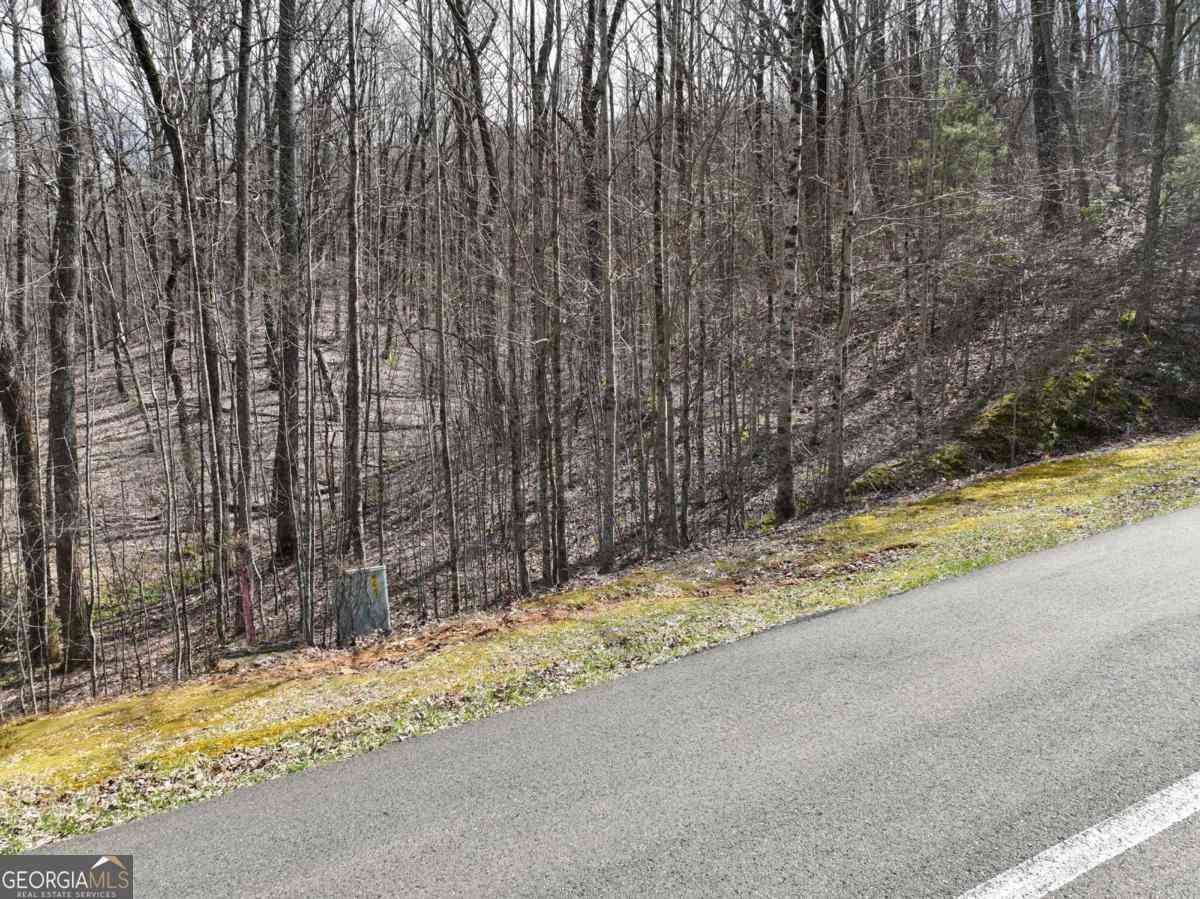Vacant Land For Sale - 65 St Andrews Way<br/> Ellijay, GA 30536