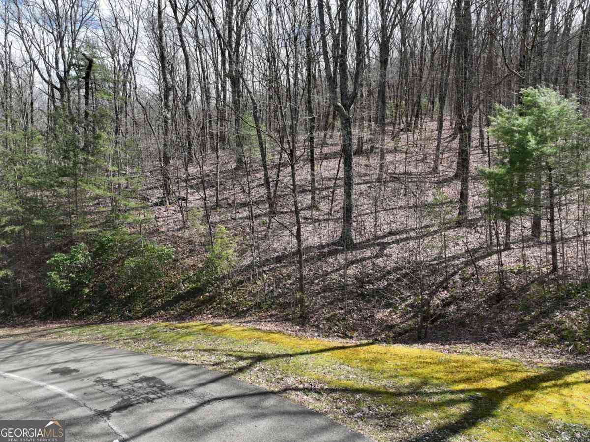 Vacant Land For Sale - 66 St Andrews Way<br/> Ellijay, GA 30536