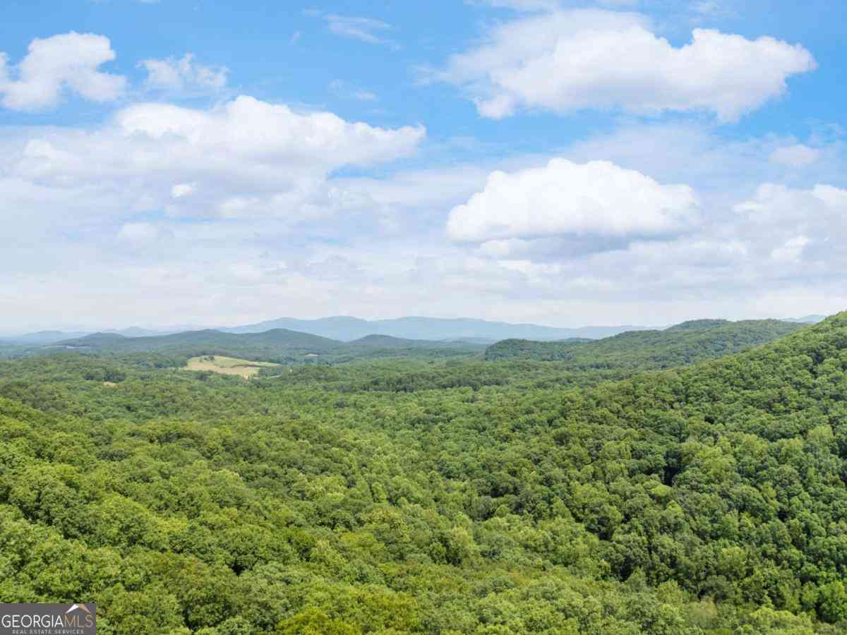 Vacant Land For Sale - 57.64 Ac Mountain Ash Road<br/> Ellijay, GA 30536