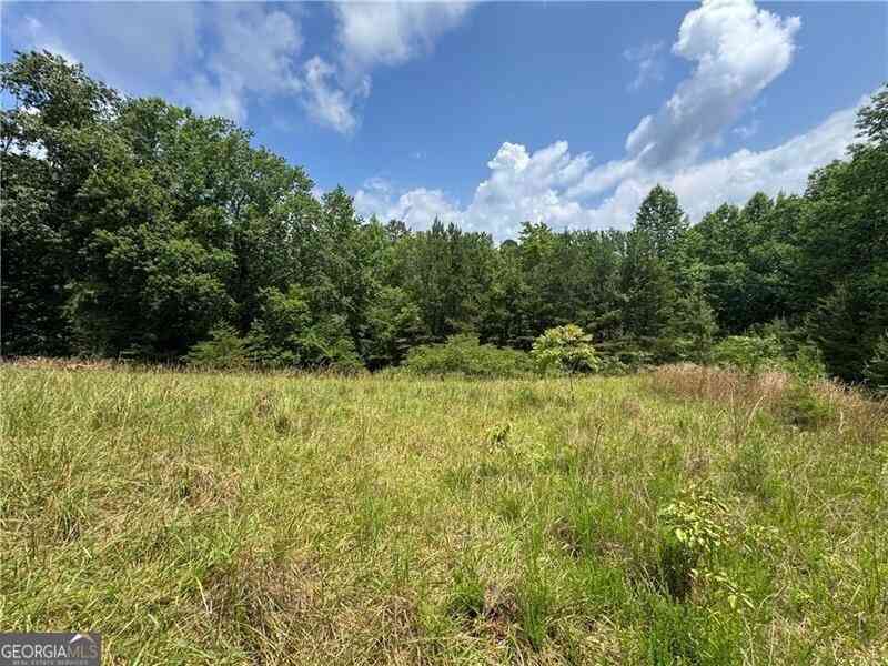 Vacant Land For Sale - 00 Ben Higgins Road<br/> Dahlonega, GA 30533