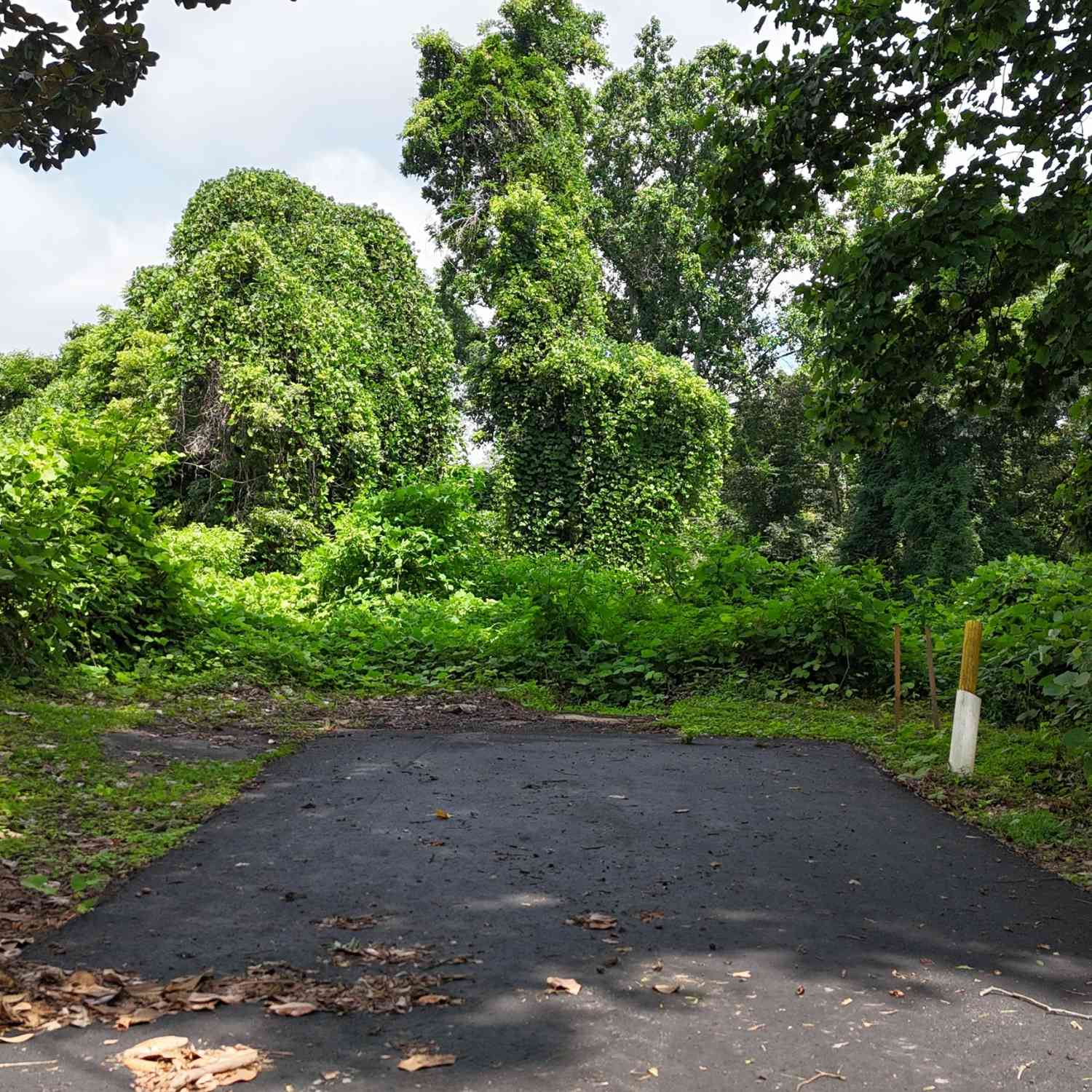 Vacant Land For Sale - 210 N Church Street<br/> Gwinnett County, Buford, GA 30518