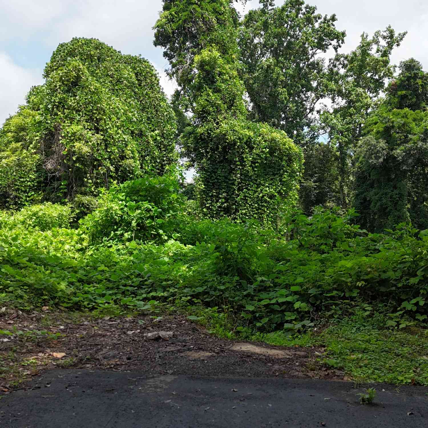 Vacant Land For Sale - 210 N Church Street<br/> Gwinnett County, Buford, GA 30518