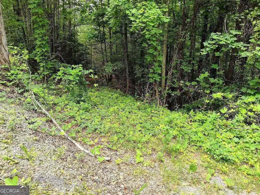 Vacant Land For Sale - 330 Adair Drive<br/> Ranger, GA 30734