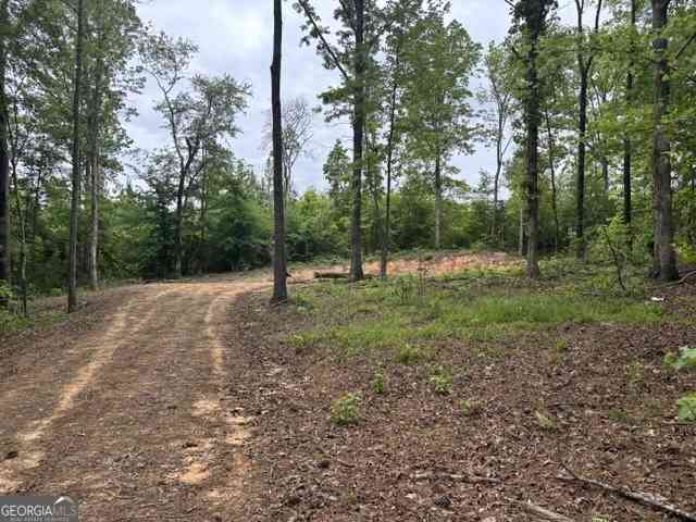 Vacant Land For Sale - TRACT 1 343 County Road 892<br/> Wedowee, AL 36278