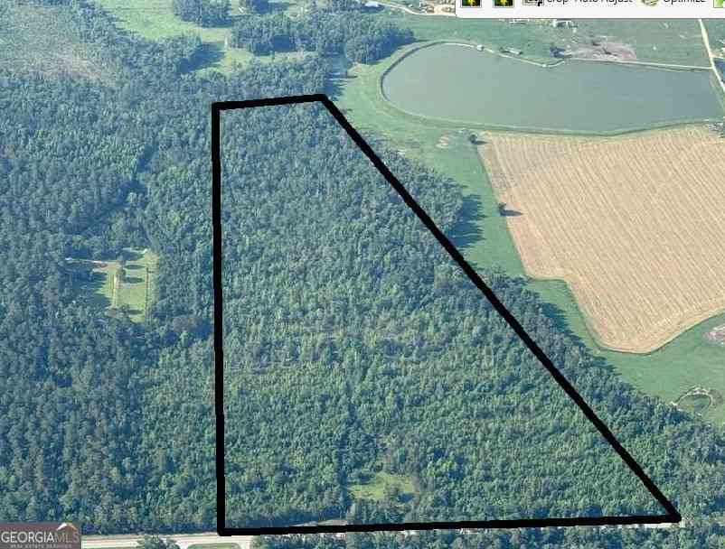 Vacant Land For Sale - HWY 46 EAST BET Hwy 46 East Between Metter /pulaski<br/> Metter, GA 30439