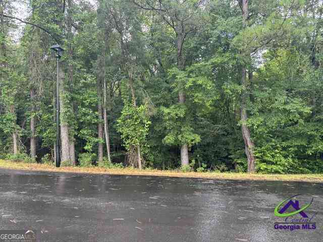 Vacant Land For Sale - 176 Waters Pointe<br/> Lizella, GA 31052