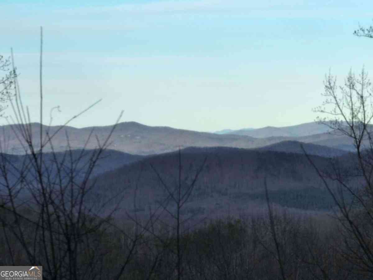 Vacant Land For Sale - 280 Andes Ridge<br/> Ellijay, GA 30536